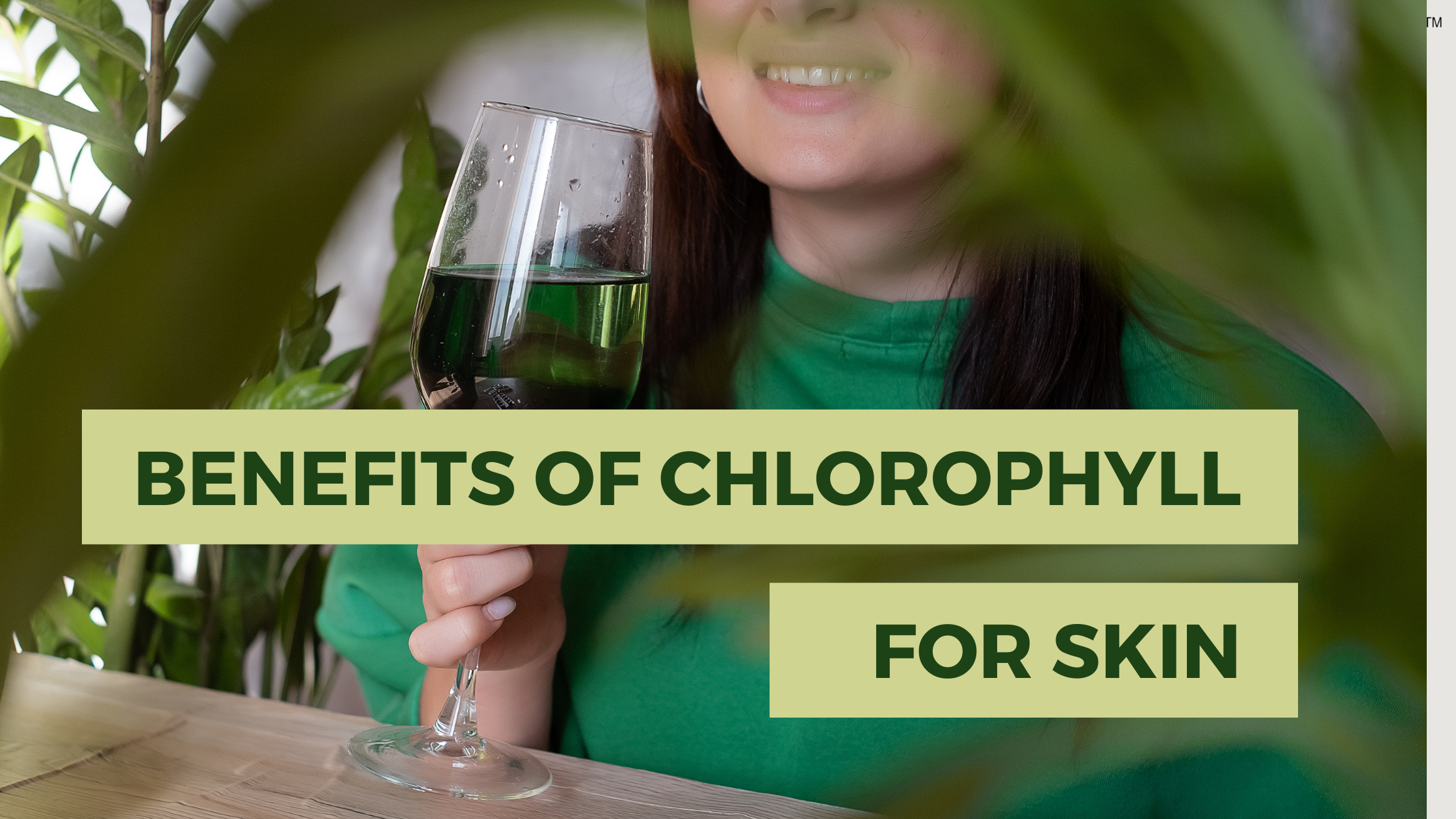 Benefits of Chlorophyll for Skin